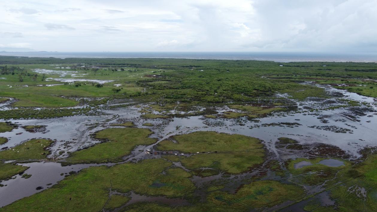 DJI_0001